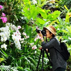 Queen Sirikit Botanical Garden