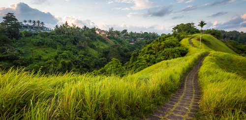 Bali Ubud Steinstrasse