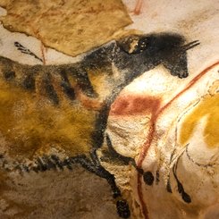 Detail aus Lascaux