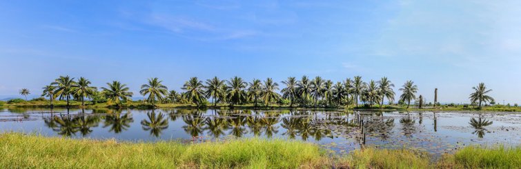 Koh Kong Landschaft