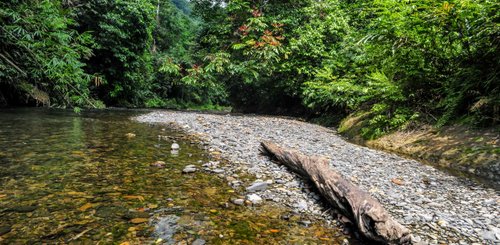 Landak River bei Bukit Lawang Sumatra