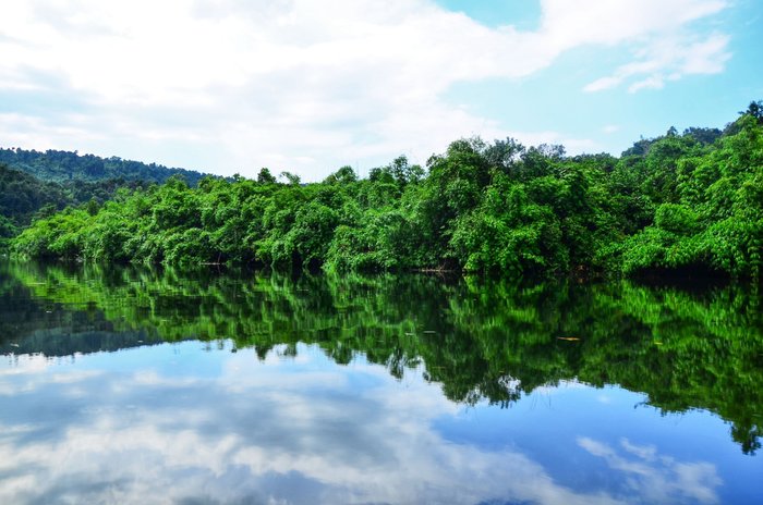 Am Weg zum Tatai Wasserfall. Koh Kong. Traumhafte Mangroven und Flusslandschaft