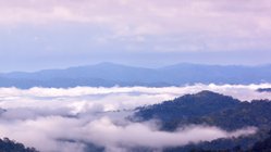 Nebelmeer über dem Kaeng Krachan Nationalpark - UNESCO Welterbe seit 2021