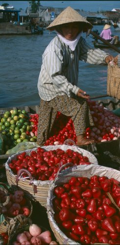 Can Tho Vietnam Cai Rang Schwimmender Markt