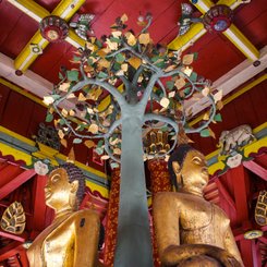 Buddha Statuen im Wat Pong Sanook Lampang