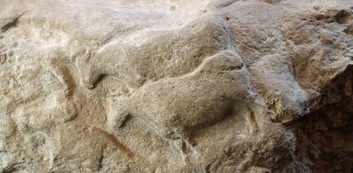 Auerochse Fourneau du Diable, Solutréenne, Musée national de Préhistoire Les Eyzies-de-Tayac