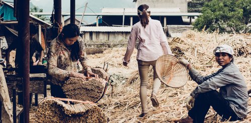 Heritage Line Laos Ausflug zur Esstäbchenproduktion