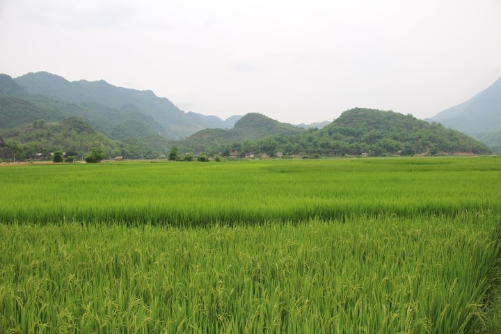 Little Sapa / Mai Chau Vietnam 