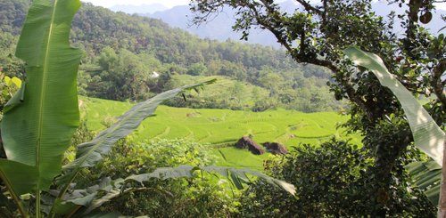 Reisterrassen, ursprüngliche Landschaft, Minderheiten - Mai Chau "Little Sapa" in Vietnam