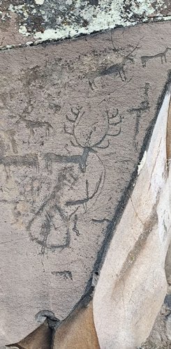 Camuslu bei Kars mit beeindruckenden Petroglyphen