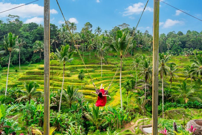 Bali Swing Schaukel in den Reisfeldern von Bali