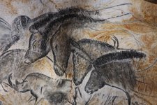 Panneau des chevaux ©-Patrick Aventurier Grotte Chauvet2