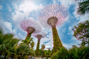 Singapur Supertrees