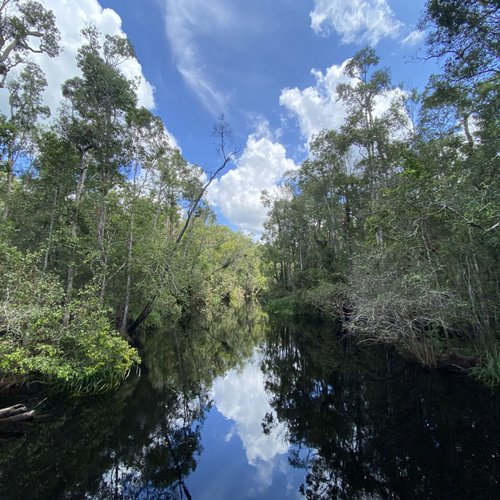 Landschaft im Kumai Nationalpark Borneo 